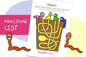 pracovní list - červíci